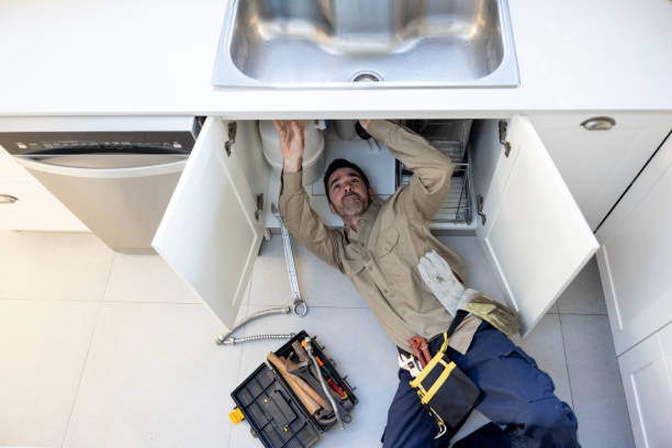 Best Toilet Repair Services  in Mountain Lake, MN