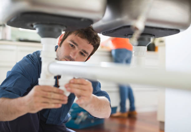Best Local Plumber Services  in Mountain Lake, MN